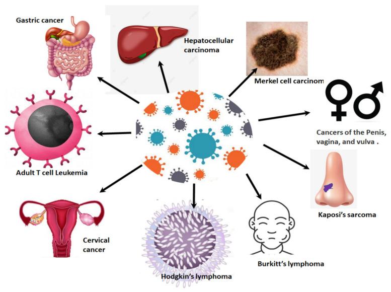 https://cdn.ncbi.nlm.nih.gov/pmc/blobs/e539/8472041/e1ac49abc333/ijms-22-10115-g001.jpg