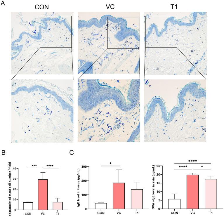 https://cdn.ncbi.nlm.nih.gov/pmc/blobs/e53a/12016883/a884862d85c7/fvets-12-1531313-g003.jpg