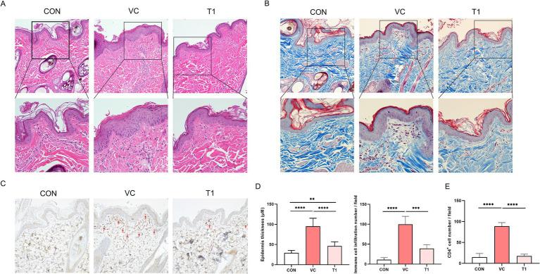 https://cdn.ncbi.nlm.nih.gov/pmc/blobs/e53a/12016883/d0d7171a091e/fvets-12-1531313-g002.jpg