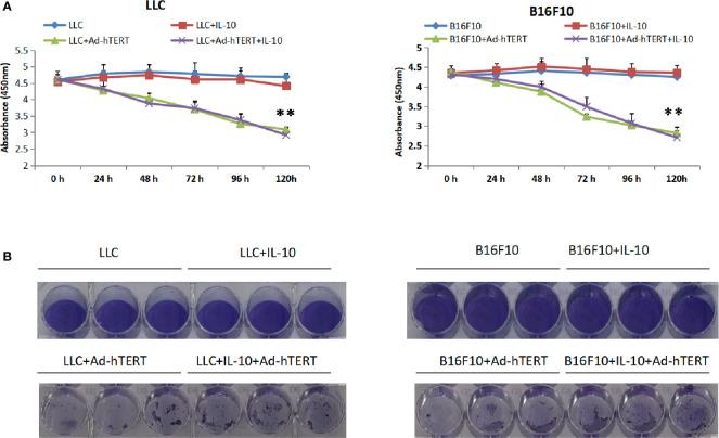 https://cdn.ncbi.nlm.nih.gov/pmc/blobs/e53a/7952747/a2045bdcc830/fimmu-12-615089-g002.jpg