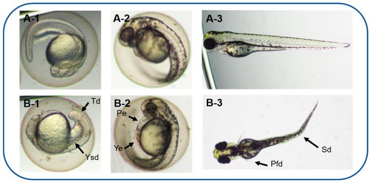 https://cdn.ncbi.nlm.nih.gov/pmc/blobs/e53c/10144361/721215bddaf7/toxics-11-00370-g004.jpg