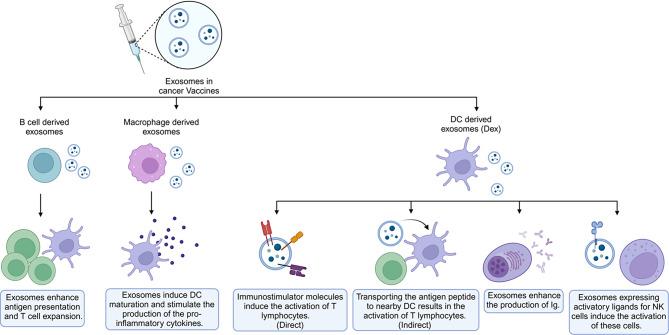 https://cdn.ncbi.nlm.nih.gov/pmc/blobs/e53c/11708188/811499e8690c/13287_2024_4125_Fig3_HTML.jpg