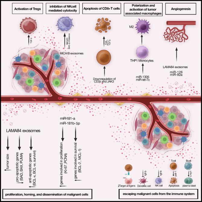 https://cdn.ncbi.nlm.nih.gov/pmc/blobs/e53c/11708188/c3d66467166b/13287_2024_4125_Fig1_HTML.jpg
