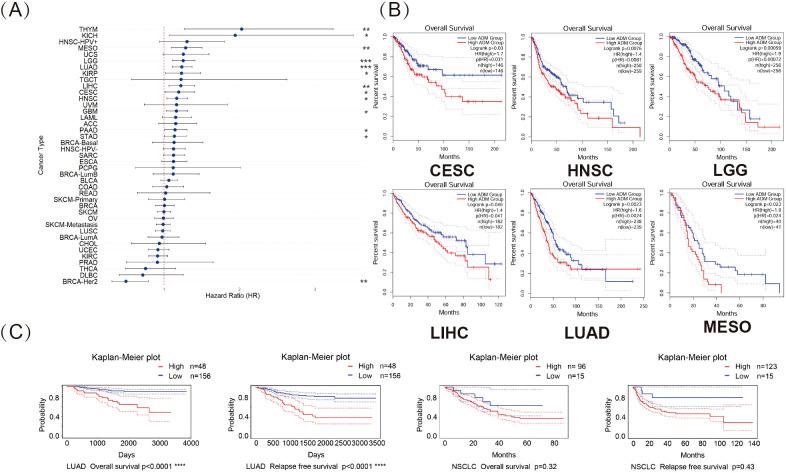 https://cdn.ncbi.nlm.nih.gov/pmc/blobs/e53e/12170686/4e697d44bcbb/fimmu-16-1573250-g005.jpg