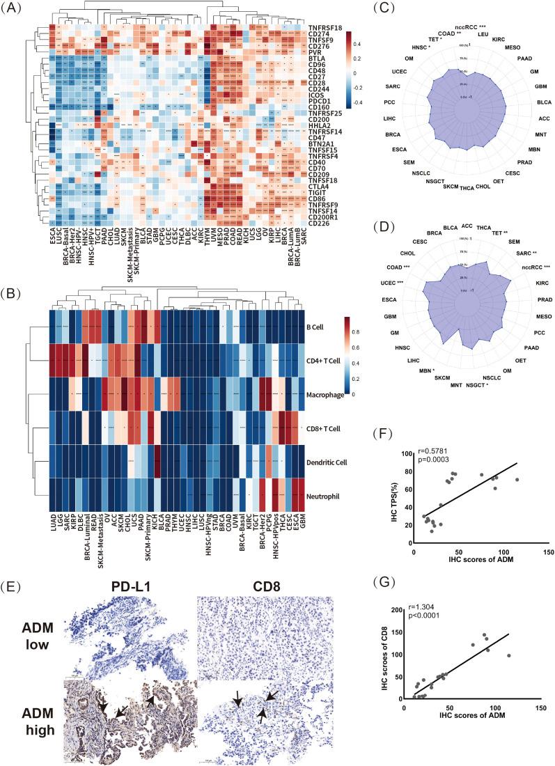 https://cdn.ncbi.nlm.nih.gov/pmc/blobs/e53e/12170686/6ae4cc18f74a/fimmu-16-1573250-g006.jpg