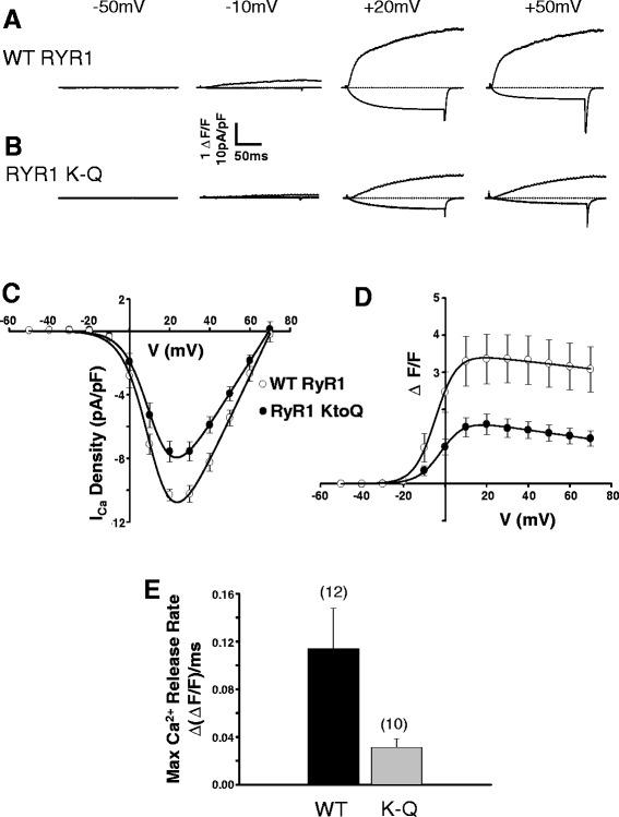 https://cdn.ncbi.nlm.nih.gov/pmc/blobs/e53f/4510890/e5452ab2c493/13395_2015_49_Fig6_HTML.jpg