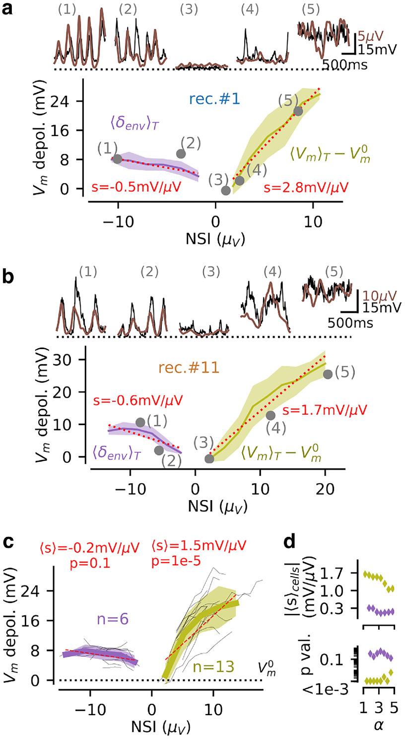 https://cdn.ncbi.nlm.nih.gov/pmc/blobs/e53f/9395246/2d015ef93a10/ENEURO.0073-22.2022_f005.jpg
