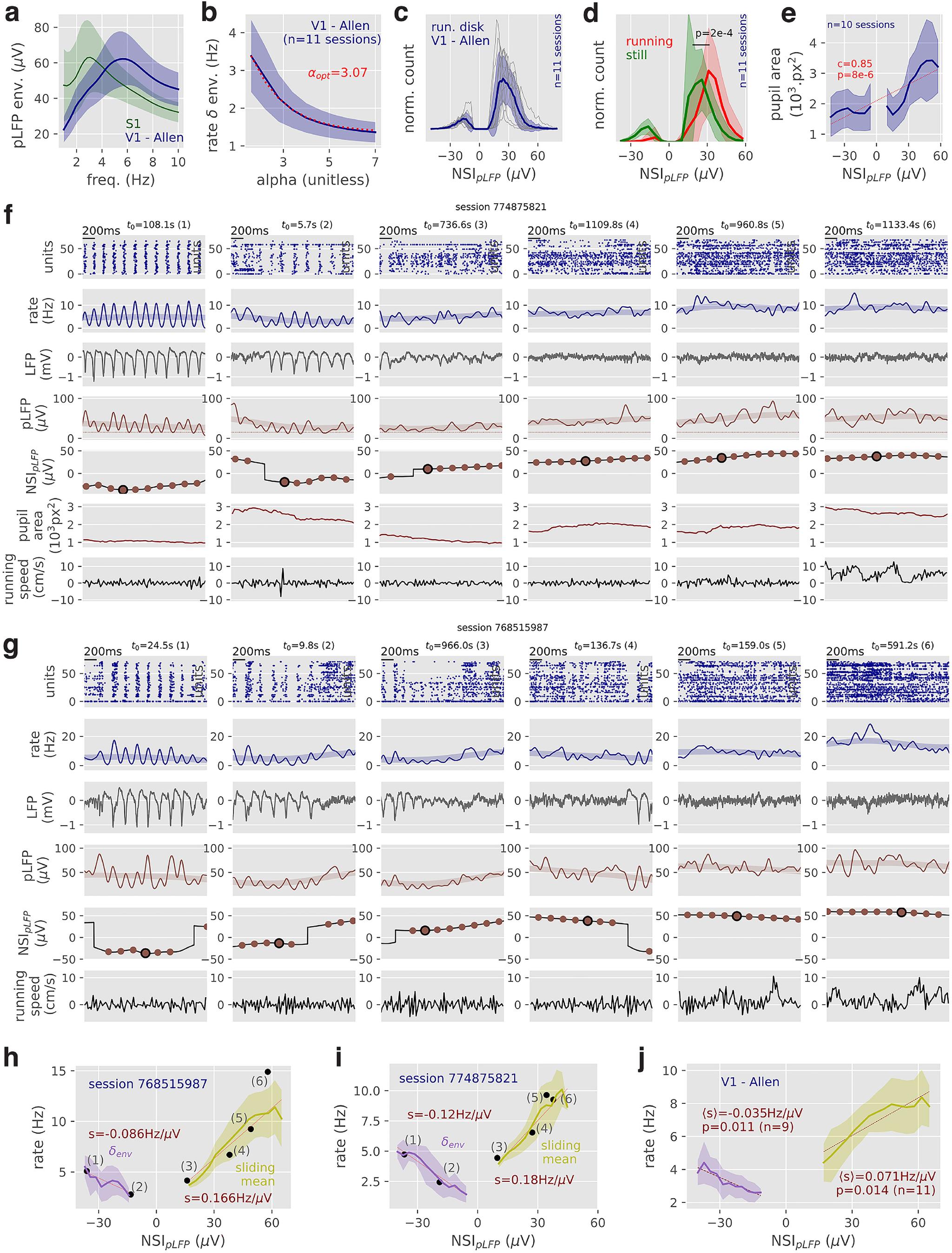 https://cdn.ncbi.nlm.nih.gov/pmc/blobs/e53f/9395246/d43445e5ccc9/ENEURO.0073-22.2022_f007.jpg