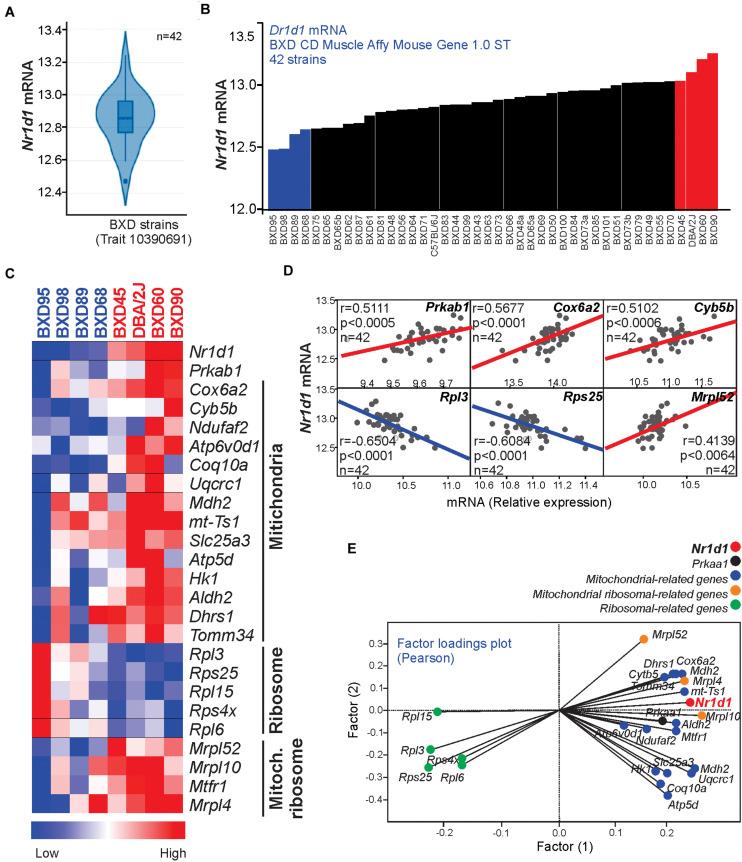 https://cdn.ncbi.nlm.nih.gov/pmc/blobs/e540/7882602/431b6c527d60/fphys-12-626096-g004.jpg