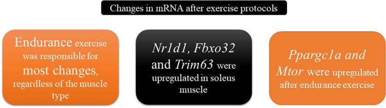 https://cdn.ncbi.nlm.nih.gov/pmc/blobs/e540/7882602/7d6e367aeb4d/fphys-12-626096-g005.jpg
