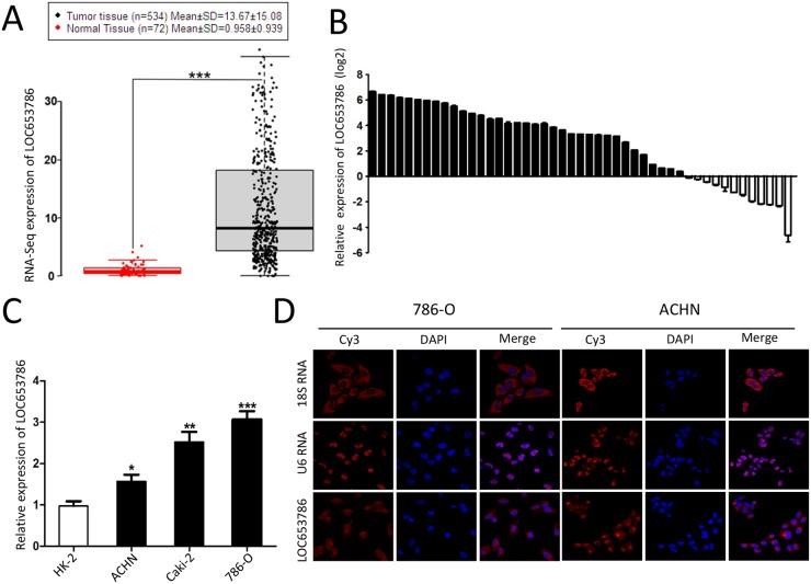 https://cdn.ncbi.nlm.nih.gov/pmc/blobs/e542/5844731/5de4565930f2/oncotarget-09-12101-g001.jpg
