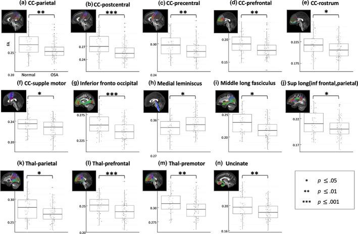 https://cdn.ncbi.nlm.nih.gov/pmc/blobs/e543/10171547/70adb37756e6/HBM-44-3045-g004.jpg