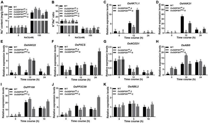 https://cdn.ncbi.nlm.nih.gov/pmc/blobs/e544/9366248/15ef86c731df/fpls-13-863233-g005.jpg
