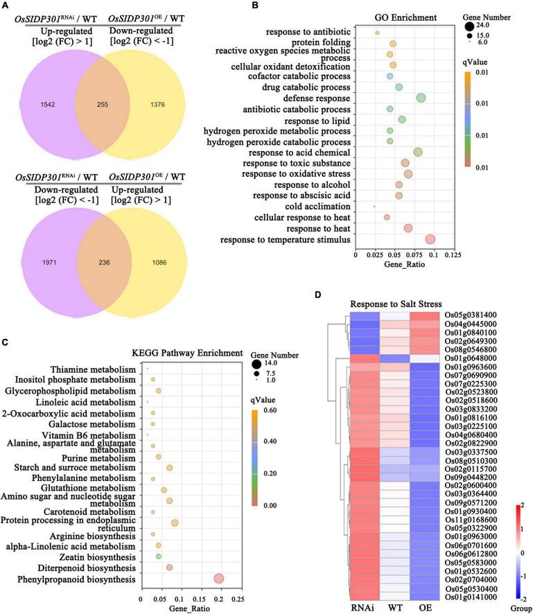 https://cdn.ncbi.nlm.nih.gov/pmc/blobs/e544/9366248/25811e100c3c/fpls-13-863233-g006.jpg