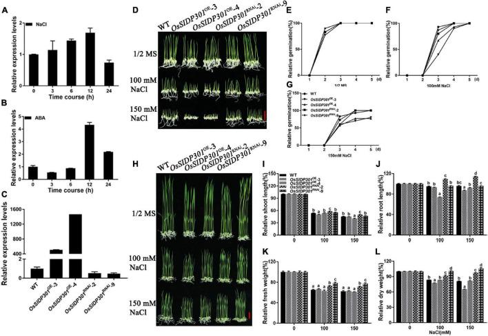 https://cdn.ncbi.nlm.nih.gov/pmc/blobs/e544/9366248/3b9c09aa6421/fpls-13-863233-g002.jpg