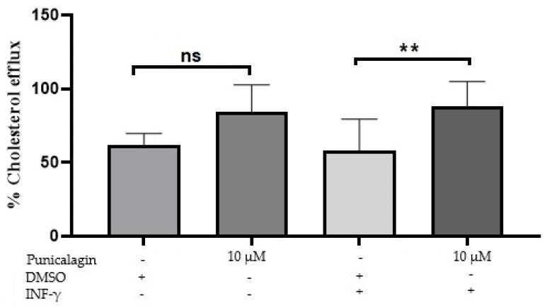 https://cdn.ncbi.nlm.nih.gov/pmc/blobs/e545/7695206/3f591c3e5a5d/pharmaceuticals-13-00372-g004.jpg