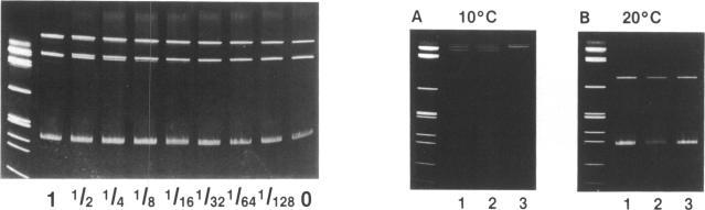 https://cdn.ncbi.nlm.nih.gov/pmc/blobs/e546/309858/d575f6688d2c/nar00065-0044-a.jpg