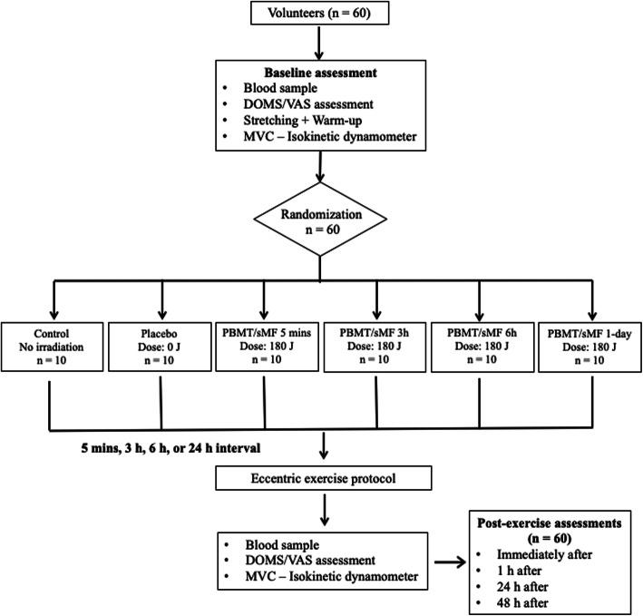 https://cdn.ncbi.nlm.nih.gov/pmc/blobs/e546/7574416/a7c2299c2e3e/13102_2020_214_Fig2_HTML.jpg