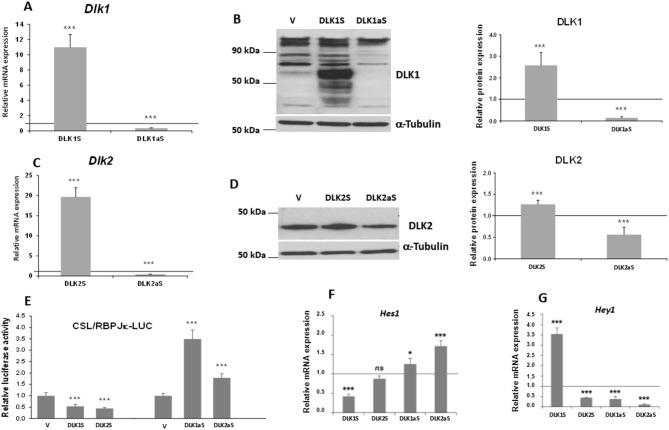 https://cdn.ncbi.nlm.nih.gov/pmc/blobs/e54b/11523663/274ca79e3a29/40659_2024_561_Fig3_HTML.jpg