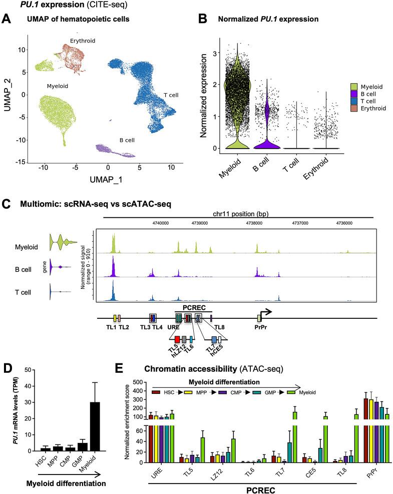 https://cdn.ncbi.nlm.nih.gov/pmc/blobs/e54c/11531149/38f4f916c8dd/13072_2024_556_Fig2_HTML.jpg