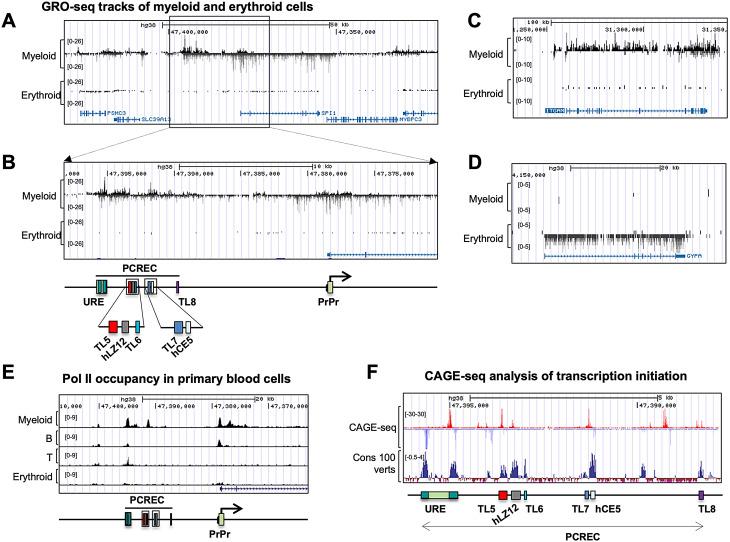 https://cdn.ncbi.nlm.nih.gov/pmc/blobs/e54c/11531149/8a36f41db680/13072_2024_556_Fig5_HTML.jpg