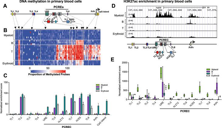 https://cdn.ncbi.nlm.nih.gov/pmc/blobs/e54c/11531149/a337d87ae814/13072_2024_556_Fig3_HTML.jpg