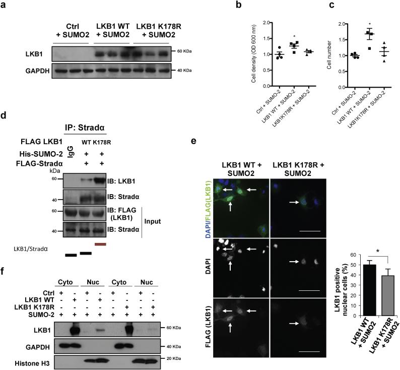 https://cdn.ncbi.nlm.nih.gov/pmc/blobs/e54d/6412020/2608cb6ebcfc/gr4.jpg