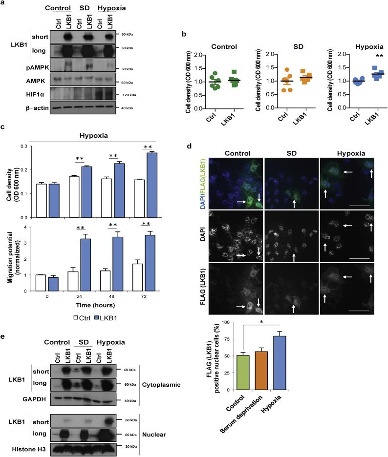 https://cdn.ncbi.nlm.nih.gov/pmc/blobs/e54d/6412020/426db1c45d31/gr1.jpg