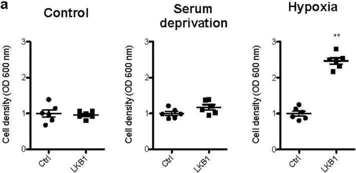 https://cdn.ncbi.nlm.nih.gov/pmc/blobs/e54d/6412020/c863b7b23221/gr11.jpg