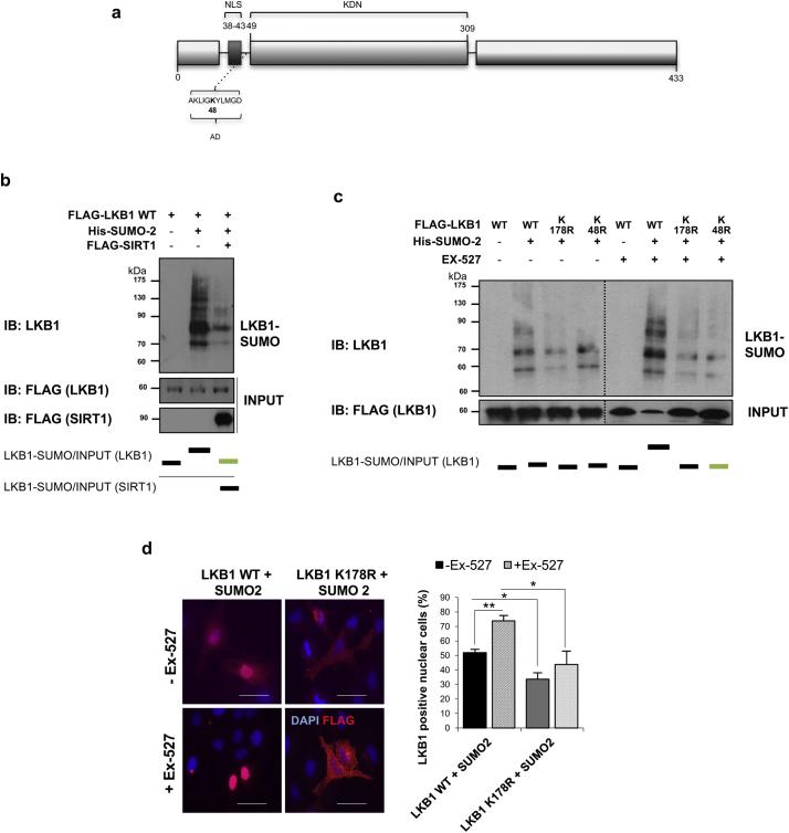 https://cdn.ncbi.nlm.nih.gov/pmc/blobs/e54d/6412020/e7b6b0d949e7/gr5.jpg