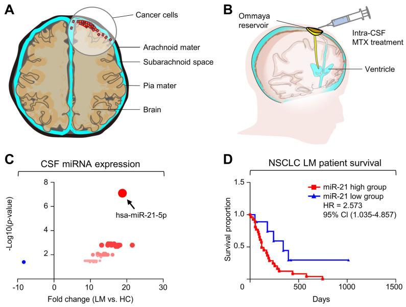 https://cdn.ncbi.nlm.nih.gov/pmc/blobs/e550/10970033/bf4fcb7b50c4/ijms-25-03124-g001.jpg