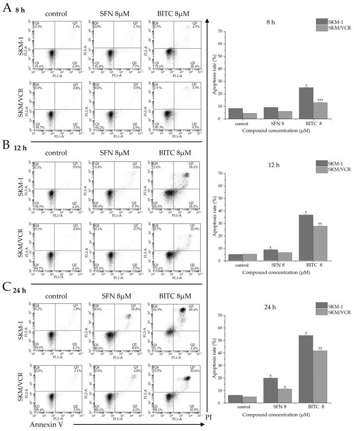 https://cdn.ncbi.nlm.nih.gov/pmc/blobs/e551/11677715/3003f0e3dd33/ijms-25-13511-g003.jpg