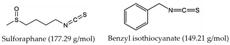 https://cdn.ncbi.nlm.nih.gov/pmc/blobs/e551/11677715/6c7f5423a9a9/ijms-25-13511-g001.jpg