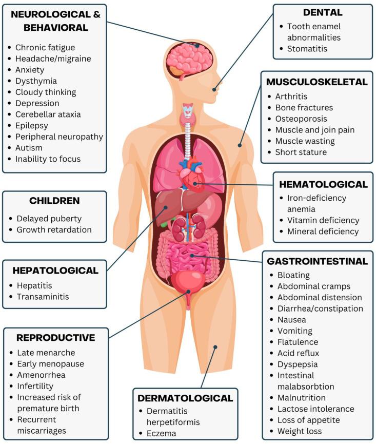 https://cdn.ncbi.nlm.nih.gov/pmc/blobs/e552/11547711/dbd9b719bb22/nutrients-16-03636-g004.jpg