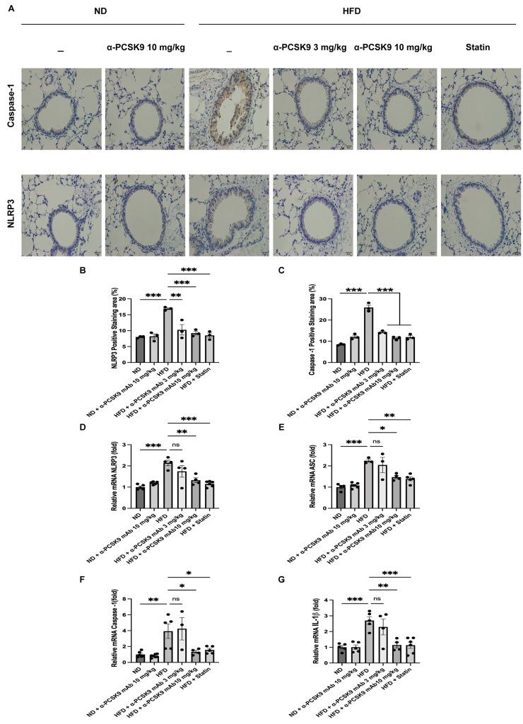 https://cdn.ncbi.nlm.nih.gov/pmc/blobs/e553/11102611/08f0037efce4/12931_2024_2842_Fig7_HTML.jpg