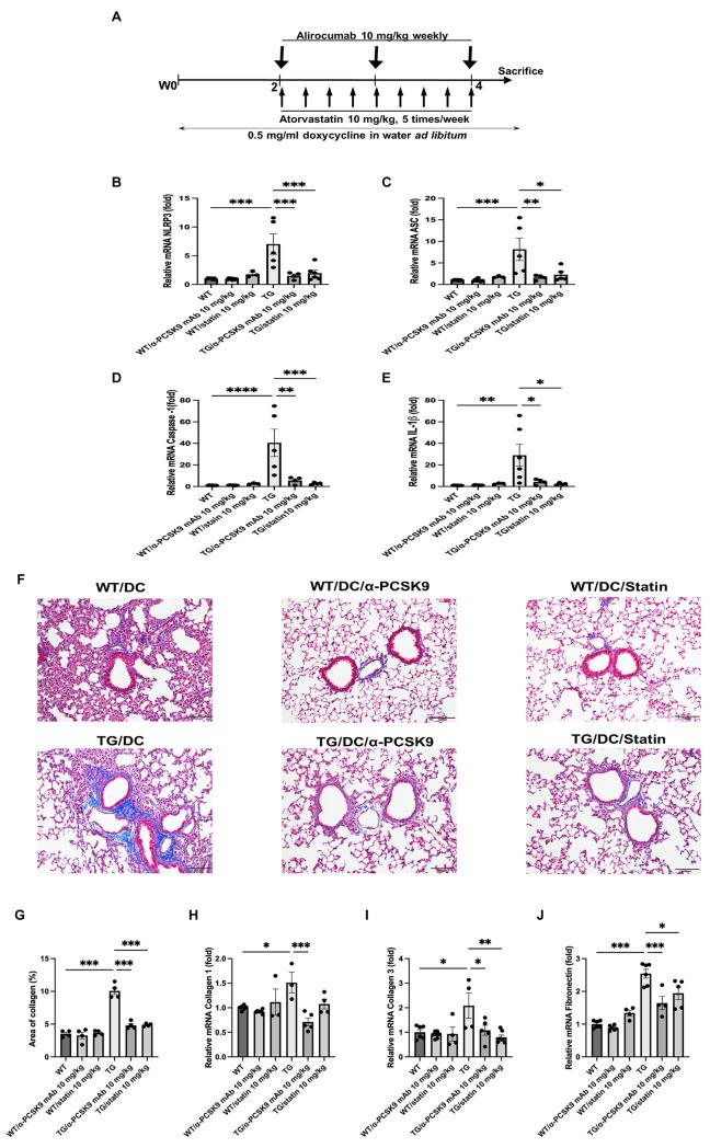 https://cdn.ncbi.nlm.nih.gov/pmc/blobs/e553/11102611/305193a0a498/12931_2024_2842_Fig9_HTML.jpg