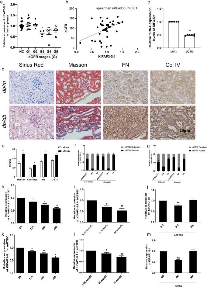 https://cdn.ncbi.nlm.nih.gov/pmc/blobs/e553/11176233/5610bfd1e7dc/10565_2024_9874_Fig4_HTML.jpg