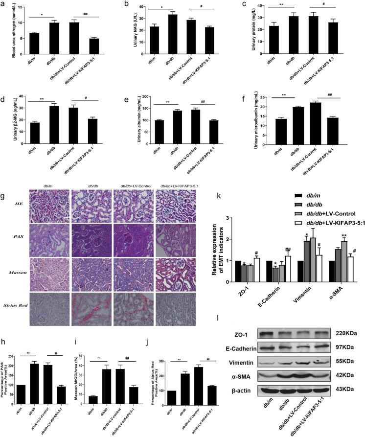 https://cdn.ncbi.nlm.nih.gov/pmc/blobs/e553/11176233/a4dcd3ac75fe/10565_2024_9874_Fig7_HTML.jpg