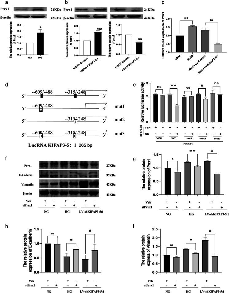 https://cdn.ncbi.nlm.nih.gov/pmc/blobs/e553/11176233/d00fdcf4a8cf/10565_2024_9874_Fig6_HTML.jpg