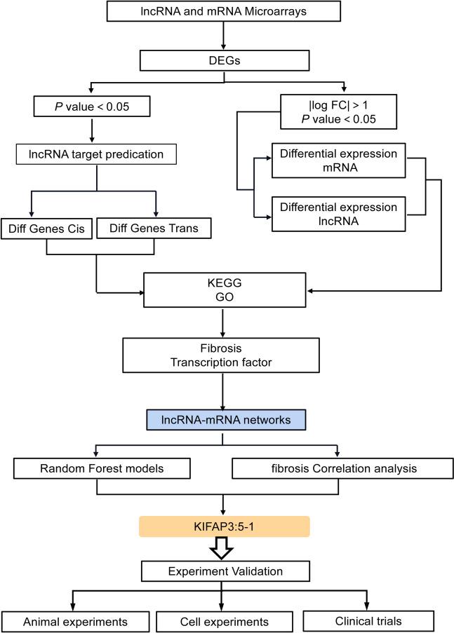 https://cdn.ncbi.nlm.nih.gov/pmc/blobs/e553/11176233/e39b41551c62/10565_2024_9874_Fig1_HTML.jpg