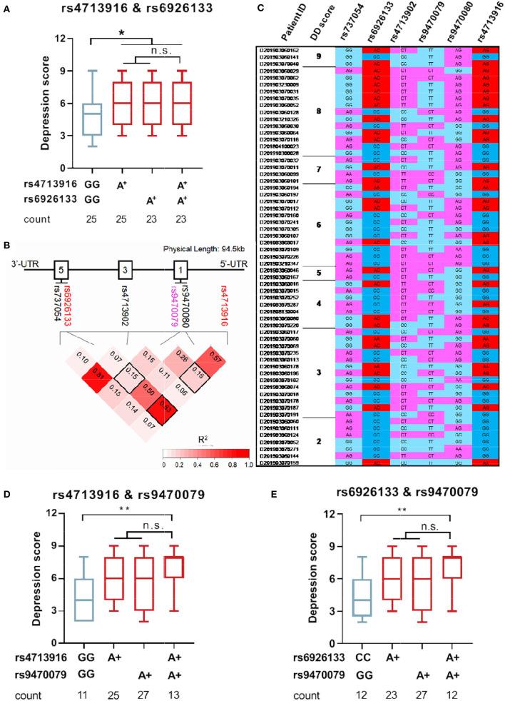 https://cdn.ncbi.nlm.nih.gov/pmc/blobs/e554/10083280/2dc14a107df7/fpsyt-14-1147060-g0004.jpg