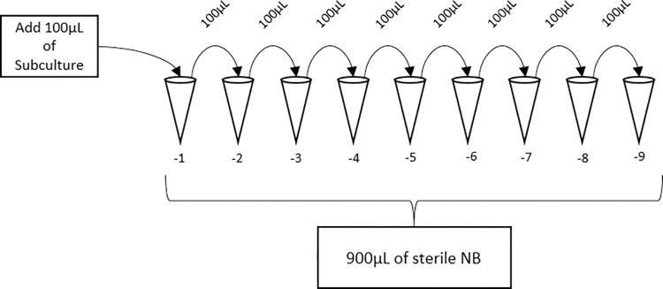 https://cdn.ncbi.nlm.nih.gov/pmc/blobs/e555/11687887/0bdda142a150/pone.0301950.g002.jpg