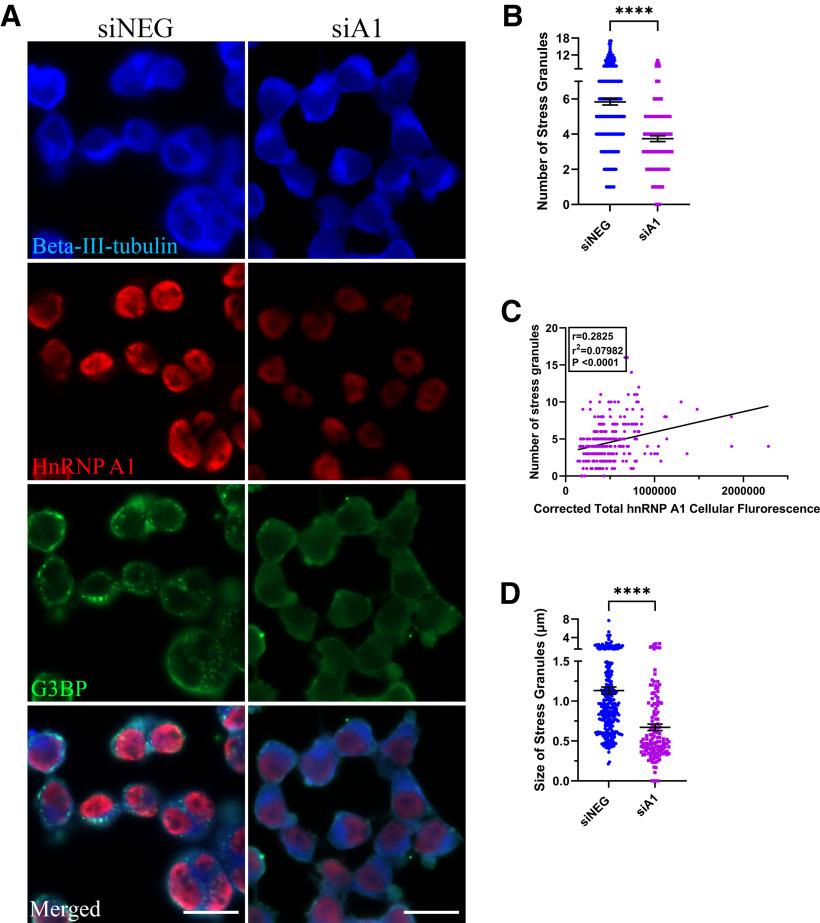 https://cdn.ncbi.nlm.nih.gov/pmc/blobs/e556/8607908/e53bde8e7660/ENEURO.0350-21.2021_f005.jpg