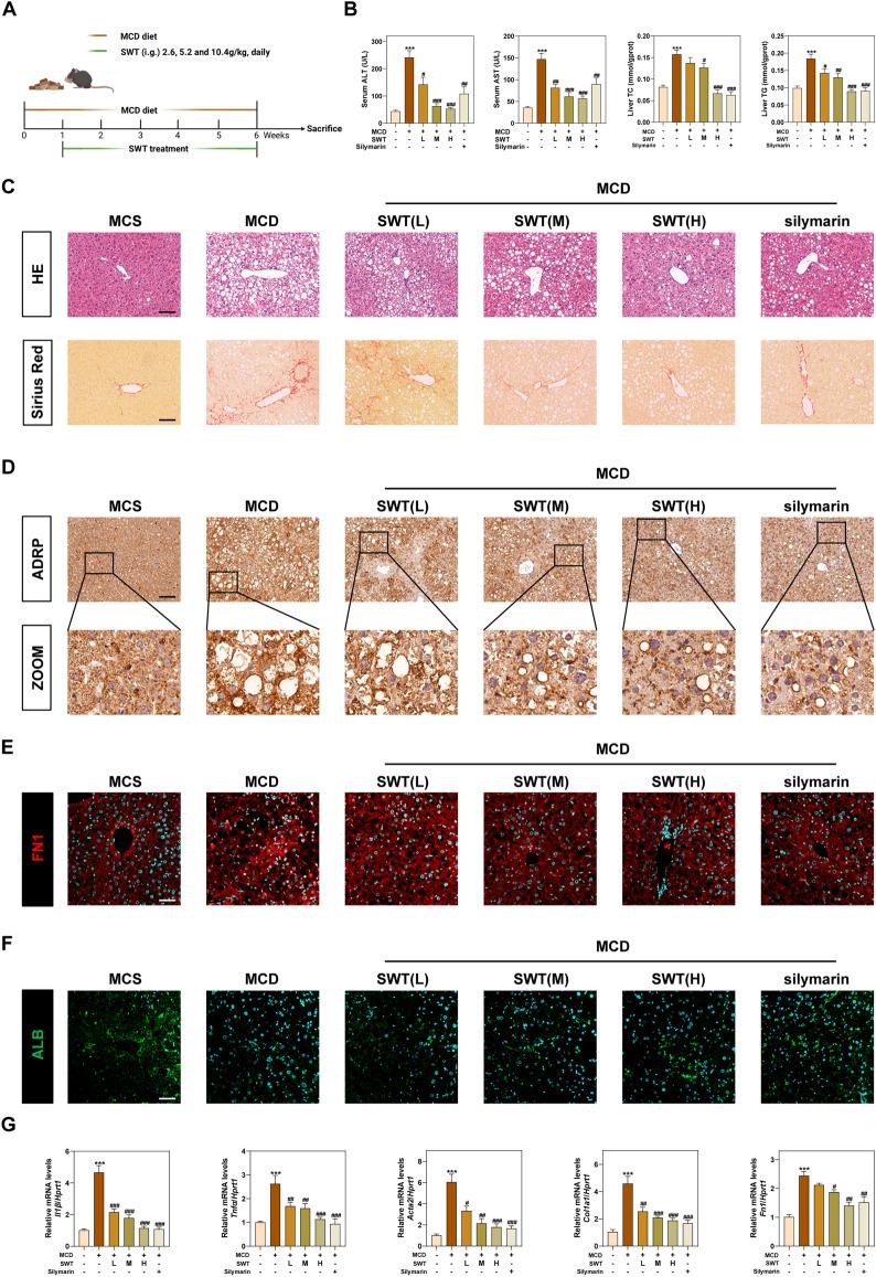 https://cdn.ncbi.nlm.nih.gov/pmc/blobs/e557/11157816/6c606accdaf8/13020_2024_953_Fig1_HTML.jpg