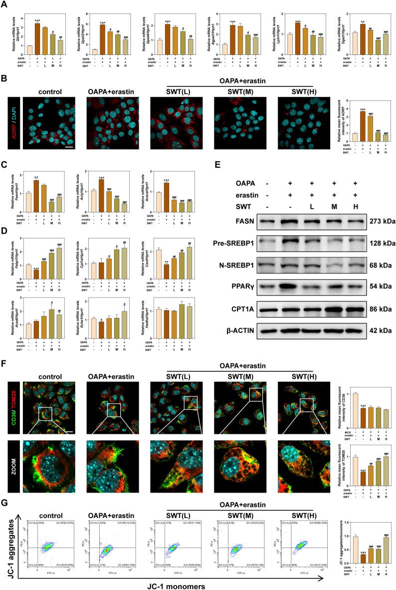 https://cdn.ncbi.nlm.nih.gov/pmc/blobs/e557/11157816/bbe171c03b38/13020_2024_953_Fig7_HTML.jpg