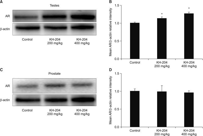 https://cdn.ncbi.nlm.nih.gov/pmc/blobs/e558/6305862/41918c86bd0b/wjmh-37-105-g003.jpg