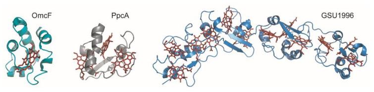 https://cdn.ncbi.nlm.nih.gov/pmc/blobs/e559/8227773/a5f5a507f8f9/antioxidants-10-00844-g002.jpg