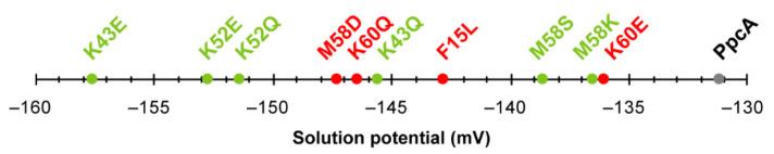 https://cdn.ncbi.nlm.nih.gov/pmc/blobs/e559/8227773/d1dbffde8efa/antioxidants-10-00844-g013.jpg