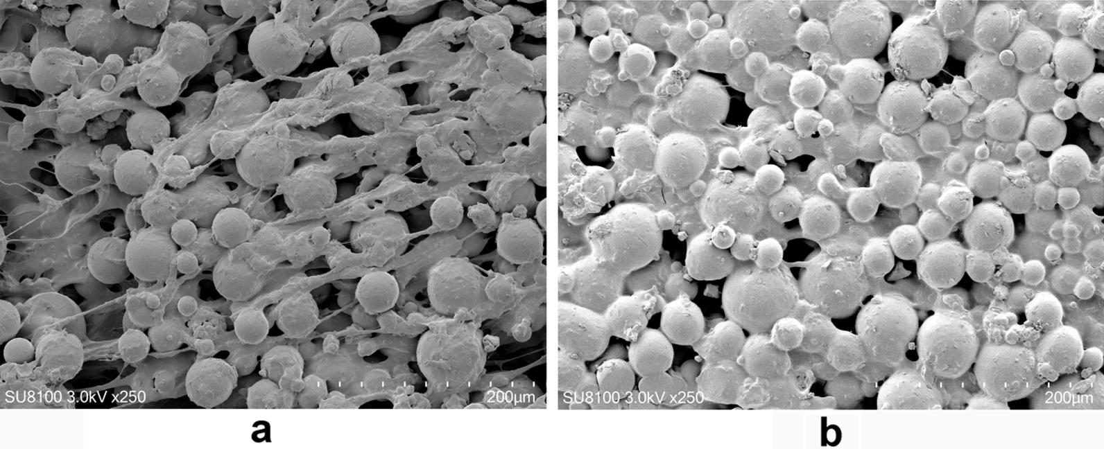 https://cdn.ncbi.nlm.nih.gov/pmc/blobs/e55c/10207791/02e8140bf781/13018_2023_3865_Fig2_HTML.jpg