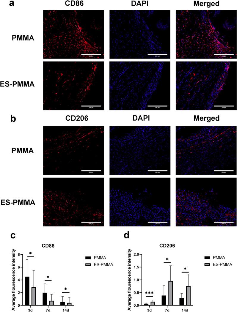 https://cdn.ncbi.nlm.nih.gov/pmc/blobs/e55c/10207791/3d76e98fb6e3/13018_2023_3865_Fig3_HTML.jpg